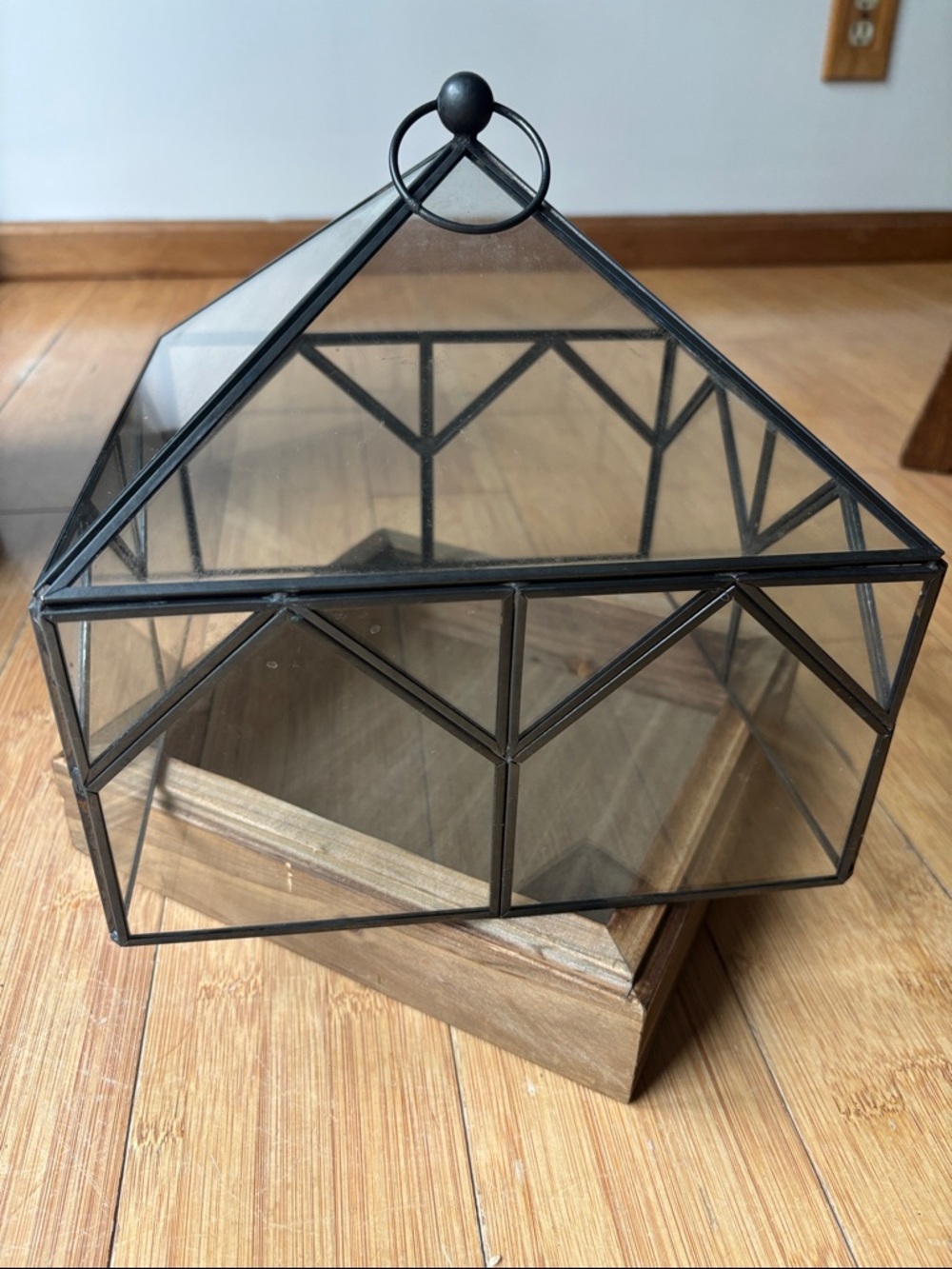 Geometric Glass Terrarium with Black Metal Frame